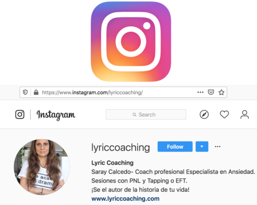 https://www.lyriccoaching.com/wp-content/uploads/2022/01/insta_icon-500x400.png